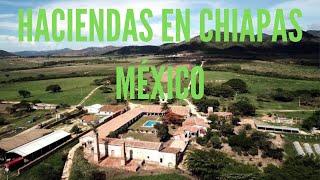 design and color channel    Haciendas in Chiapas Mexico