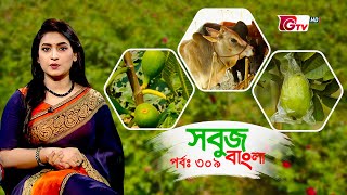 গরুর খামারে সাফল্য, তীন ফল চাষ, পেয়ারা বাগান | কৃষি অনুষ্ঠান - সবুজ বাংলা | Sobuj Bangla - EP 309 screenshot 3