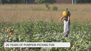 20 years of pumpkin picking at Pride of the Wapsi farm