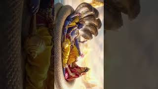 it gave me goosebumps ✨️🌸 #ytshorts #shortvideo #divine #religious #fyp #trend #viral