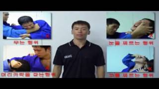 1. 기술규정 - 한국 주짓수 연합회