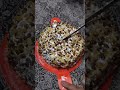 ice cream cake #viralvideo #bayan #motivation #wazifa #ytshorts #allah #khanakhazana #instagram