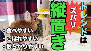 汚れない為なのに余計に汚れるものってなあに？ #487