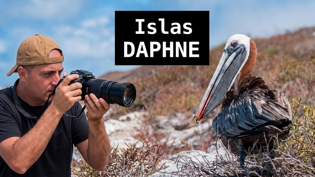 Las Islas Daphne | Islas Galápagos