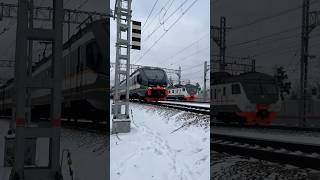 #эп2дм - 0296 и #эд4м - 0484 рядом со ст. Лесной Городок МЦД-4
