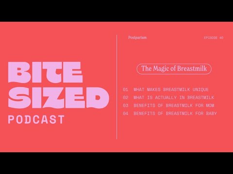 Bitesized Podcast