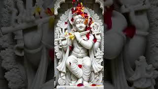 Enter the peaceful home of Krishna #gardentemple #mandir #homedecor #decor #inspiration #krishna