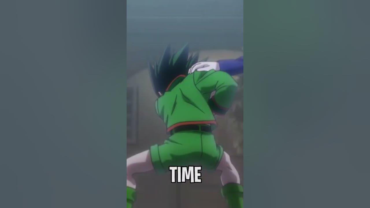 Chimera Ant Arc was wayyyyy too long