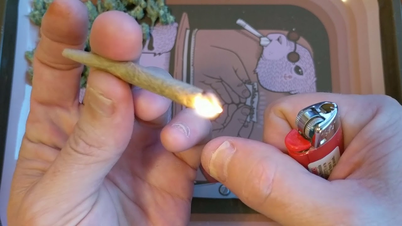 Sour OG Chem 29% Trulieve Eustis (Lets smoke a joint)