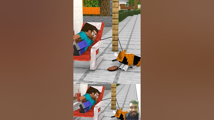 When Steve And His Dog Don'T Give Away To Each Other 😂️