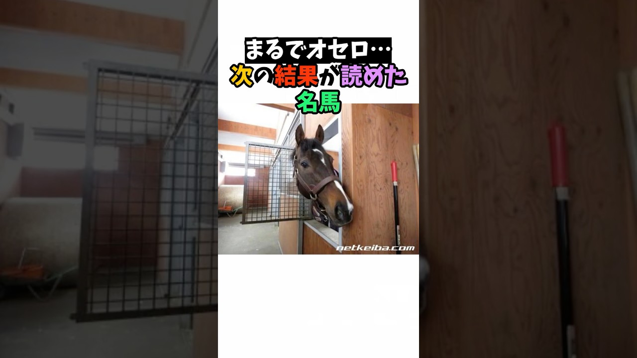まるでオセロ…次の結果が読めた名馬 #競馬#horse