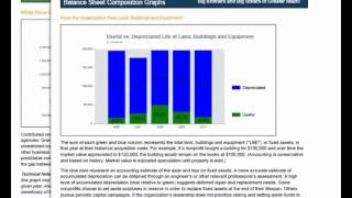 Anatomy of a Financial SCAN Report