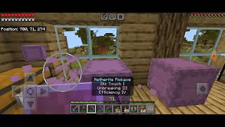 Minecraft (Survival Guide) Episode 17 Fixed Storage room...