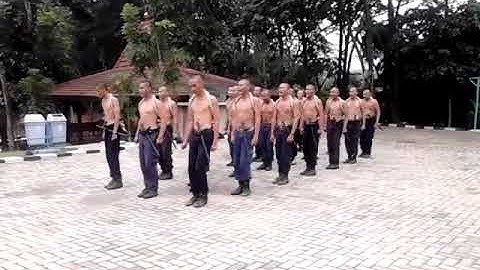 Pendidikan security PBB Senam tongkat PT.PHILIA CITRA SEJAHTERA