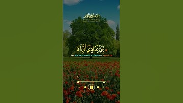 قرآن كريم راحة نفسية وقلبية استمع وانشر أجرلي ولكم