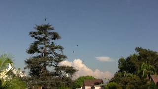 Battle: Los Angeles 14 military helicopters Fly Over Los Angeles