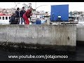 Fishing video, Fishing White seabream, Pesca ao sargo , Karagöz Balık اçılık  دنيس
