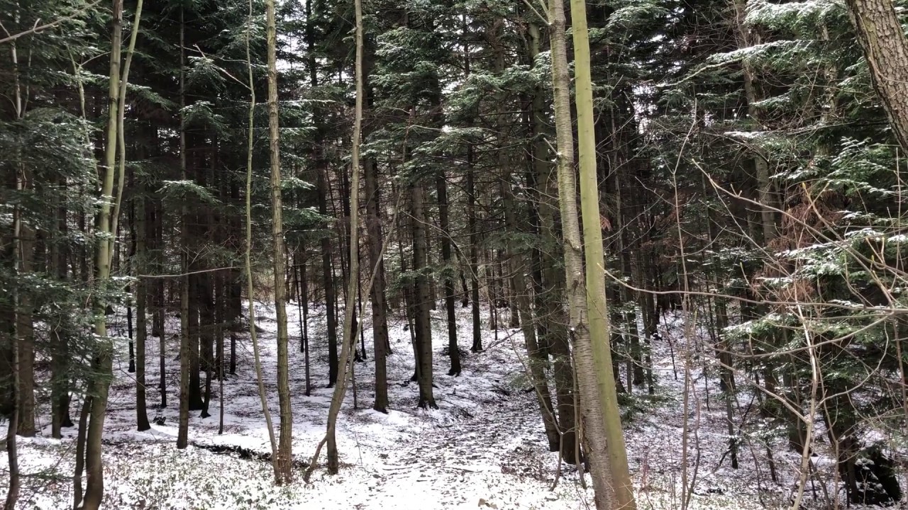 Akashic Records - Reading about experiencing UNCERTAINTY, FEAR. End of March 2020