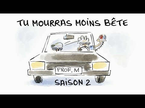 Une saison 2, à vos risques et périls (Teaser) - Tu mourras moins bête - ARTE