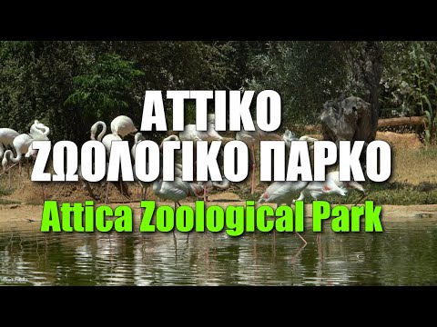 Βίντεο: Πού βρίσκεται ο ζωολογικός κήπος στο πάρκο Butwood;