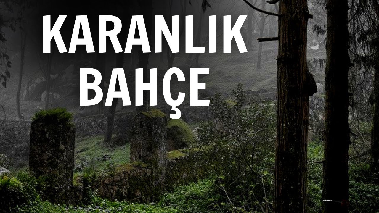 Hataylı Gençlerin Kaybolduktan Sonra Yaşadığı Korkunç Olaylar | Cin Hikayeleri | Korku Hikayeleri