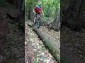Skills that pay the bills Rolling log rides #chainlinecyclesnhsbikeshop #mountainbike #ninerbikes