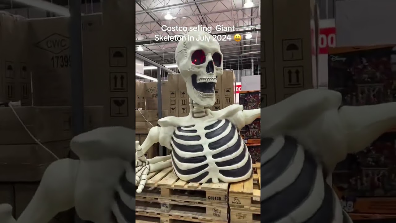 Giant Skeleton Alert! Halloween 2024 Finds at Costco 