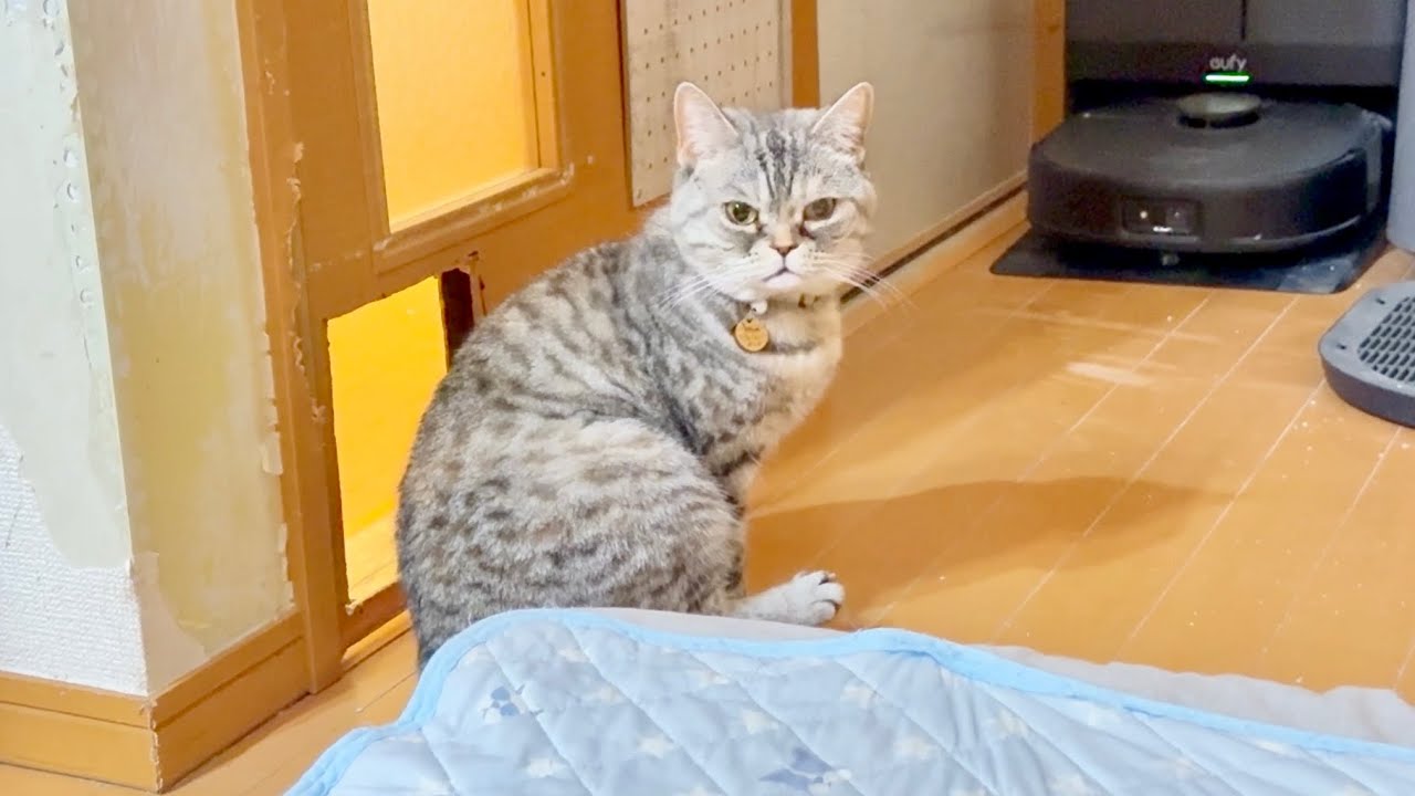 ママは素直になれないお年頃。