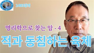 1483강의. 적과 동침 연약한 육체, 명리학으로 찾는 암 – 4, 미래학 강의, 인문 명리학 강의, Hum…