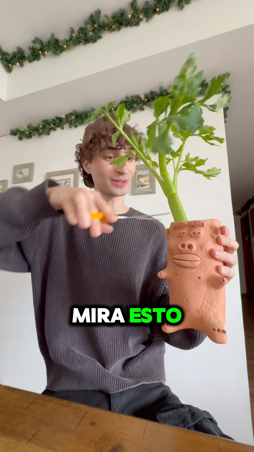 NO VAS A CREER COMO CRECE