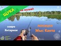 Русская рыбалка 4 - озеро Янтарное - Щука на грызунов