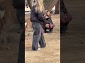 奈良で新しい友達ができました🦌💖