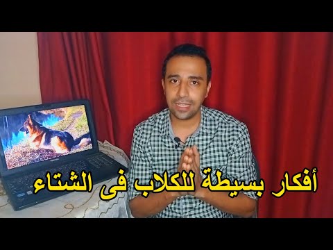 افكار بسيطة وبدون أي مصاريف لتدفئة الكلاب فى الشتاء