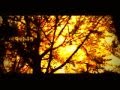 Amor Coreano - Kiss - Uma verdadera historia de Amor Dublado