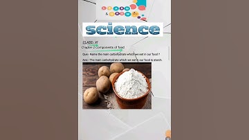 Class-6 |Chapter-2 | Science| Main Carbohydrate || Components of Food ||