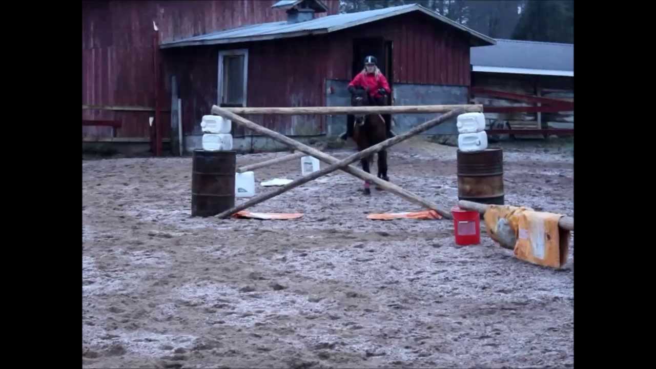 Lyhytelokuva: Tahvonautti