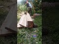 Tehnik rajangan pakae mesin senso kayu Saman Wood ms382..#chainsaw #woodworking #bengkelkayu #wood