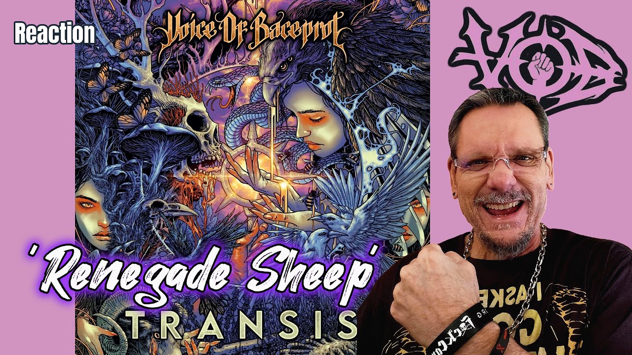 VoB (Голос Басепрота | Овцы-отступники | Первая реакция