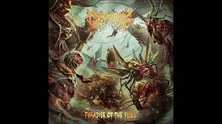 Download Lagu Gastrorrexis - Paradise Of The Flies (FULL ALBUM) (2020) MP3