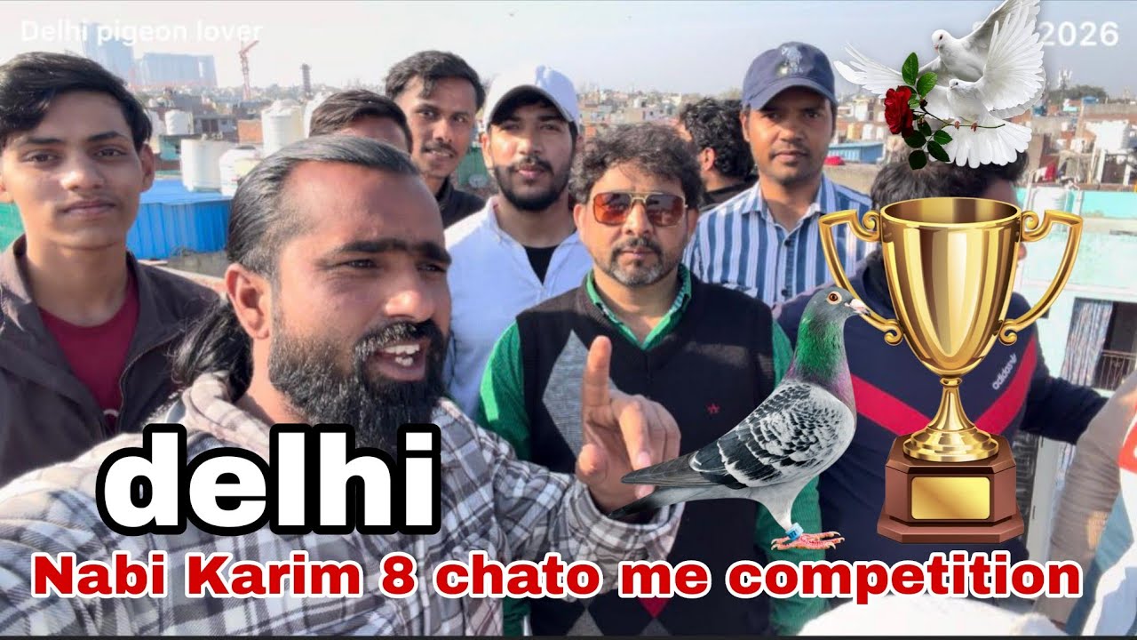Nabi karim 8 talimo ka shok. Cup 🏆 ki Zabardast daudh. Delhi ki kabutar bazi 
