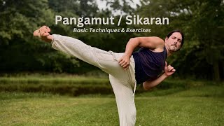 Pangamut Sikaran Basic Techniques - Empty Hands of Kali Martial Arts