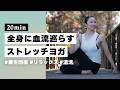 【ヨガ20分】全身の巡りを良くしてリラックス！心身の疲労回復ストレッチヨガ #384
