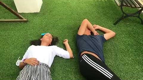 Independent Reading Project: The Land of Stories book trailer