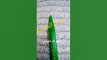 سورة التحريم الآية 8