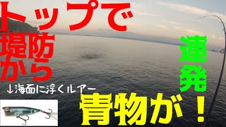 #3 釣った魚しか食べれない離島サバイバル 【KAZUさん・ゆきゆき】