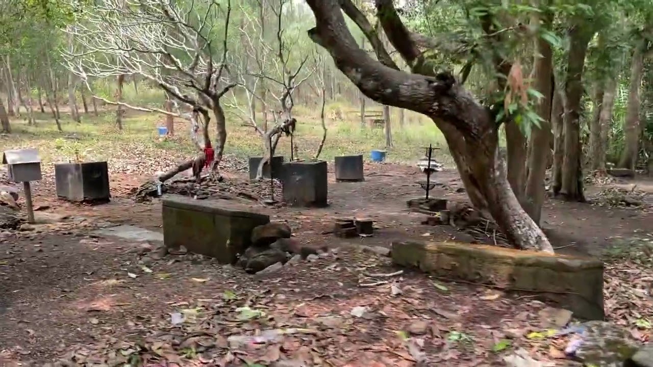 Inside forest open temple near -Peppara dam TRIVANDUM