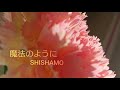 魔法のように ✨ SHISHAMO
