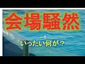 2021年4月11日（月）13：00からのシャチパフォーマンス