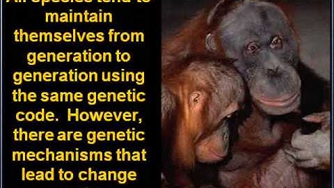 The Unifying Themes of Biology