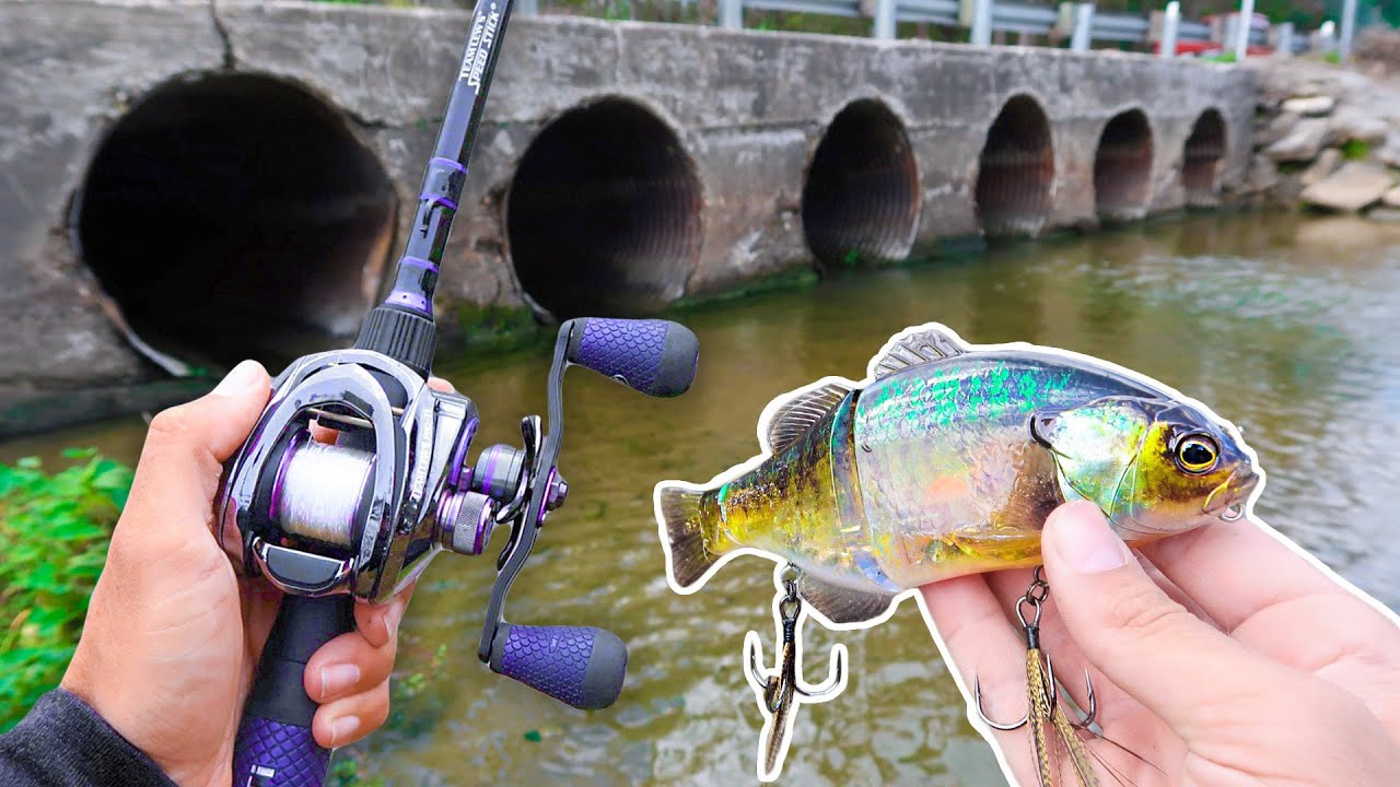 Searching for GIANT Bass w/ BIG Swimbaits! (Lake Fishing)